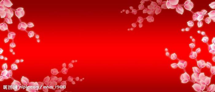 学位验证报告是什么
